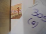 Photo 8/32 du lot