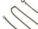 an image of a long chain with a clasp on a white background