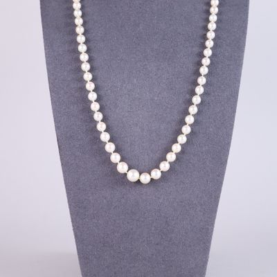 a white pearl necklace on a mannequin display