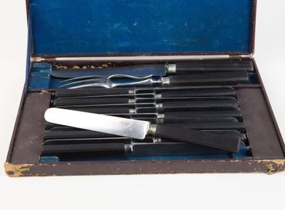six knives in a case on a white surface