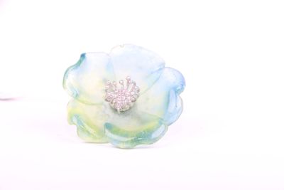 une fleur bleue et verte sur un fond blanc