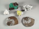 plusieurs types de roches et de minéraux sur une surface blanche