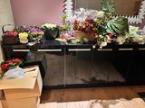 a box of flowers sitting on a counter in a room