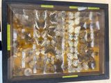 a picture of a picture of a display of different types of rocks
