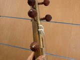 a person holding a musical instrument in their hand