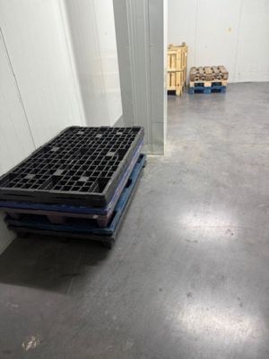 Important stock de palettes répartis sur le site VENDU SUR D…