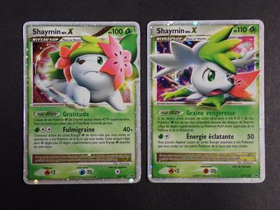 Deux cartes Pokémon sont posées côte à côte sur une table
