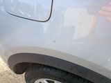 a cat that is sitting on the side of a car