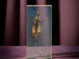 an image of a picture of a man riding a horse in a glass case