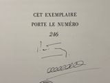 Photo 8/9 du lot