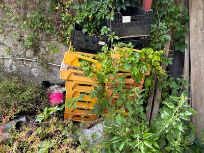 une pile de caisses posée au milieu d'un jardin