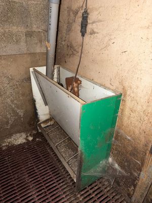 a dog that is sitting in a bath tub