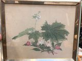 la photo d'une plante dans un cadre