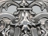 a close up view of a silver plate with a design on it
