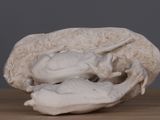 a white sculpture of a crab on a wooden table