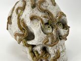a white skull with a snake on it ' s head