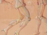 a drawing of a man and a woman with muscles
