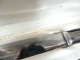 a knife that is sitting inside of a bag