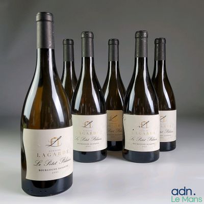 six bouteilles de vin sont alignées sur une table