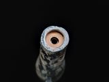 gros plan d'une bouteille de vin sur une surface noire