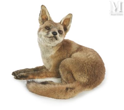 a stuffed fox that is laying down on a white surface