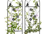 deux oiseaux noirs perchés au sommet d'un treillis métallique orné de fleurs roses