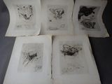 quatre pages de dessins d'animaux et d'oiseaux posés sur une table