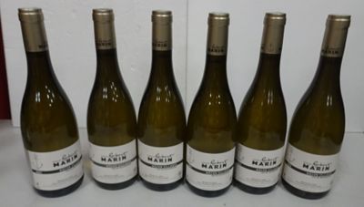 six bottles of white wine are lined up on a counter