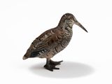 a small bird that is standing on a white surface