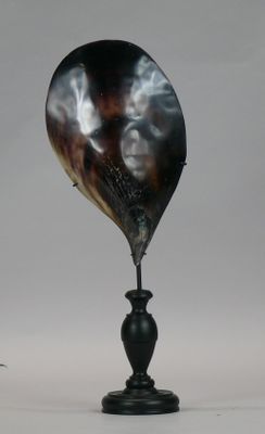 a large horn shaped object on top of a table