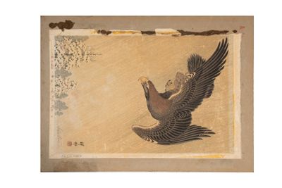une image représentant un oiseau volant dans les airs, les ailes déployées