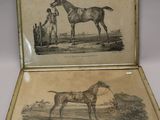 une vieille photo représentant un cheval et un homme avec un cheval dans un champ