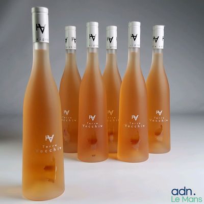 six bouteilles de vin sont alignées sur une surface blanche
