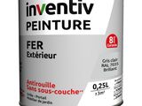 Inventitiv, produit d'entretien pour prothèses dentaires à usage externe, 750 ml