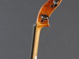 the back of a violin with a long neck and a long tail