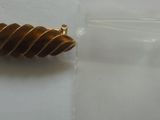 un petit insecte posé sur une feuille de papier