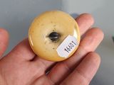 a person holding a donut with a sticker on it
