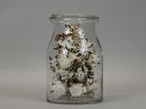 a glass jar with a bunch of flowers inside of it
