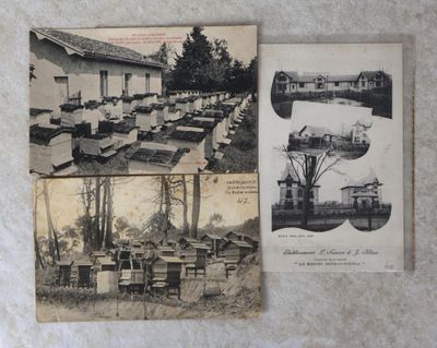 deux vieilles photos d'un bâtiment où l'on voit plusieurs tables et chaises