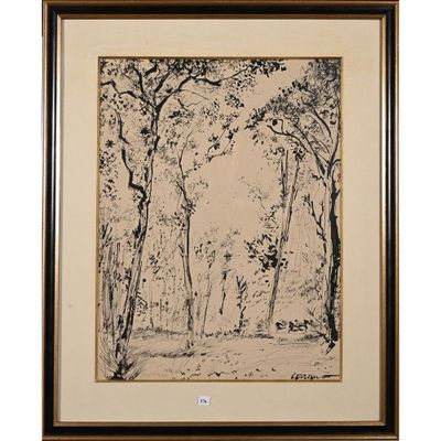 une image représentant un dessin d'arbres dans une zone boisée