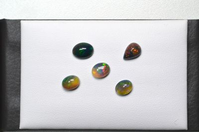 un groupe de quatre oplites assis sur une surface blanche