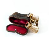 a pair of binoculars in a case on a white surface