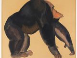une image représentant un gorille debout sur ses pattes arrière