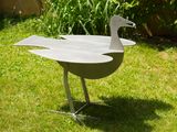 a white bird that is standing in the grass