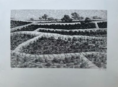 an image of a black and white drawing of a field