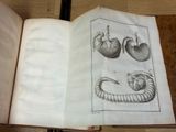 un livre ouvert sur lequel figurent des dessins de fruits et de légumes