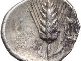 an ancient silver coin with a head of wheat on it