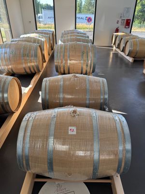 Plusieurs tonneaux de vin sont alignés dans une pièce