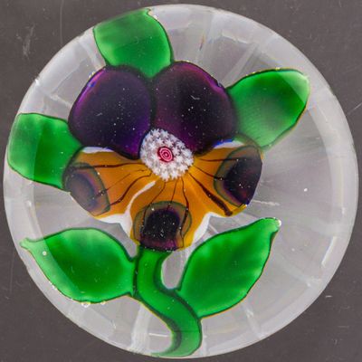 une plaque de verre sur laquelle est représentée une fleur violette et jaune