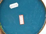 someone is holding a blue bowl with a sticker on it